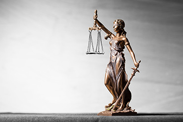 Counter Fraud & Indemnity